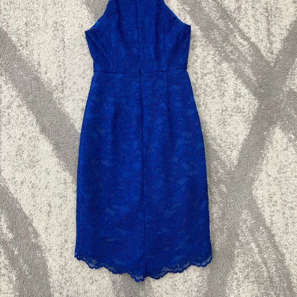 Ever New Electric Blue Square Neck Lace Dress - Picture 4 of 6